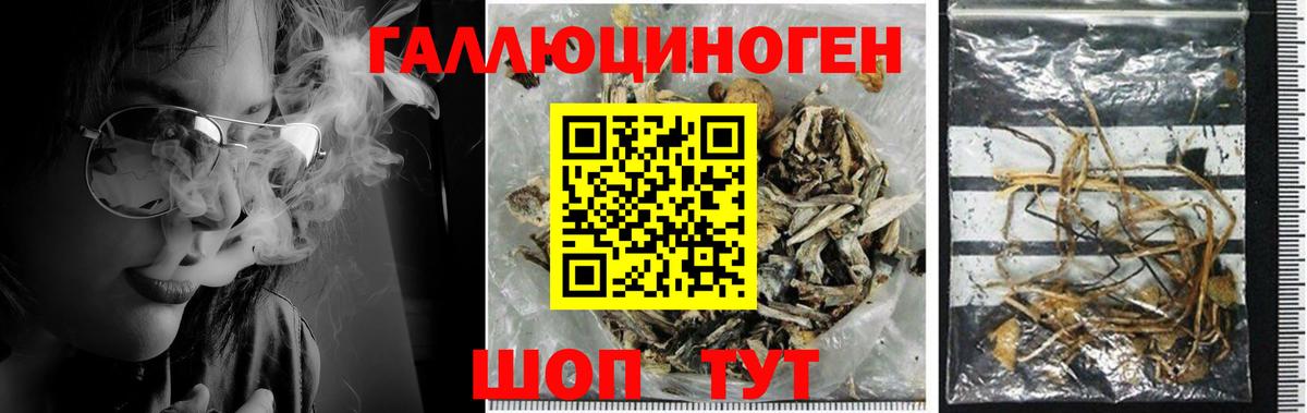 Галлюциногенные грибы Psilocybine cubensis  Галлюциногенные грибы GOLDEN TEACHER  Калуга  Вход с VPN 